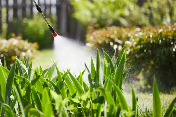 24/7 Emergency Mosquito Control experts in Trion, GA